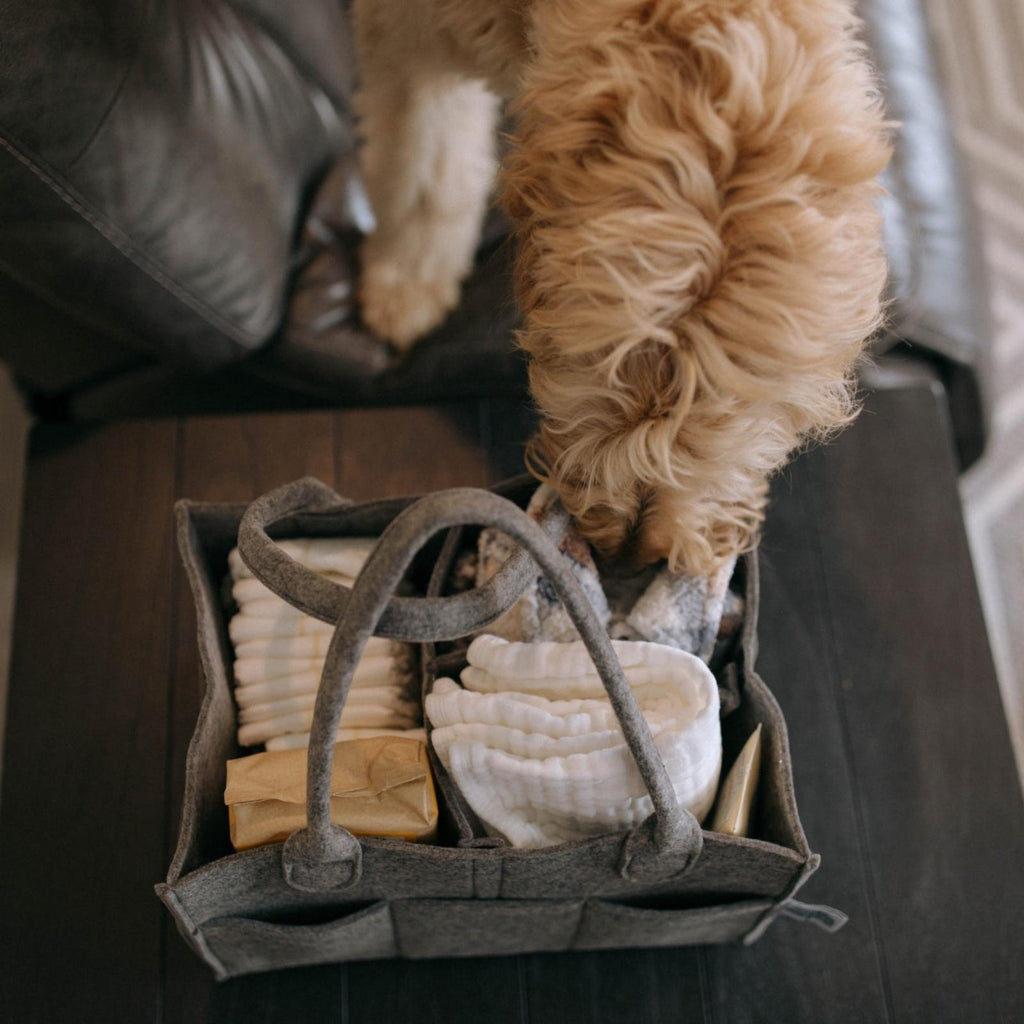 Diaper Caddy